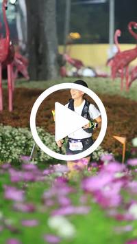 BIB:  <button type="button" onclick="openModal(27591046)" class="btn btn-primary btn-sm float-right" data-toggle="modal" data-target=".modal-high-quality">
                <i class="fa fa-download"></i> Download
                </button>